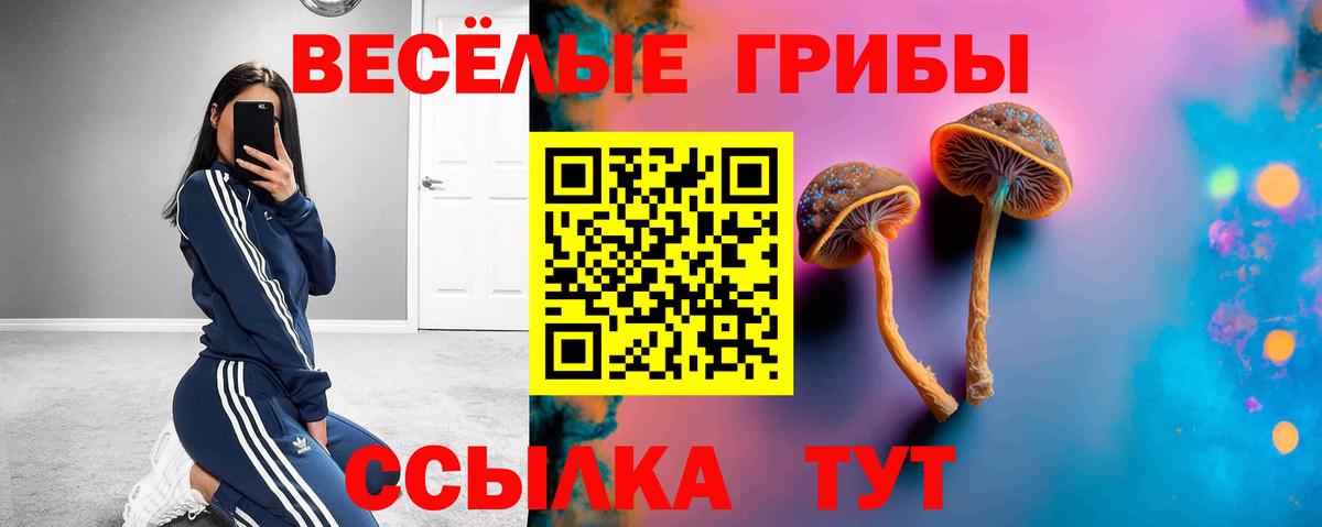 Урай  Галлюциногенные грибы ЛСД  Вход с VPN 